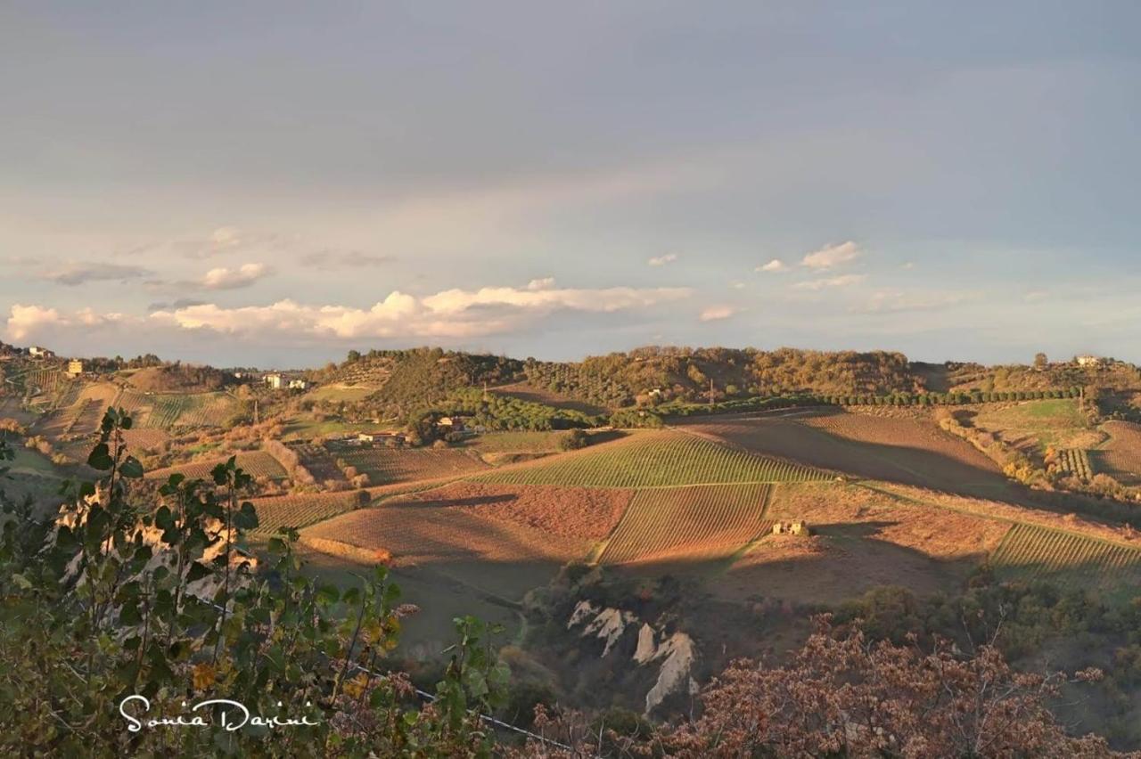 Bed & Breakfast Palazzo Mestichelli Boutique Palace Monteprandone